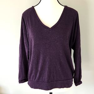 TNA long sleeved purple v-neck tee, size small